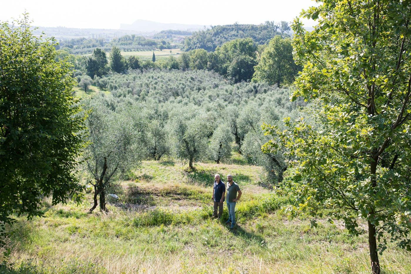 The farmers visiting their land