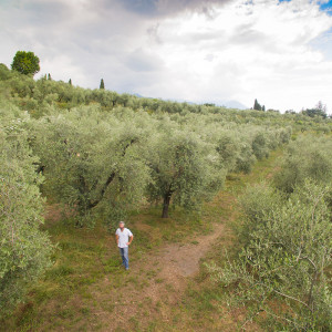 The founder Simon Albanese in his olive grove