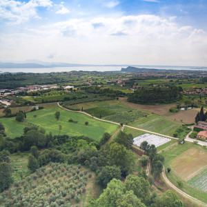 Vista dall'alto del terreno dell'azienda agricola Poggioriotto sul Lago di Garda