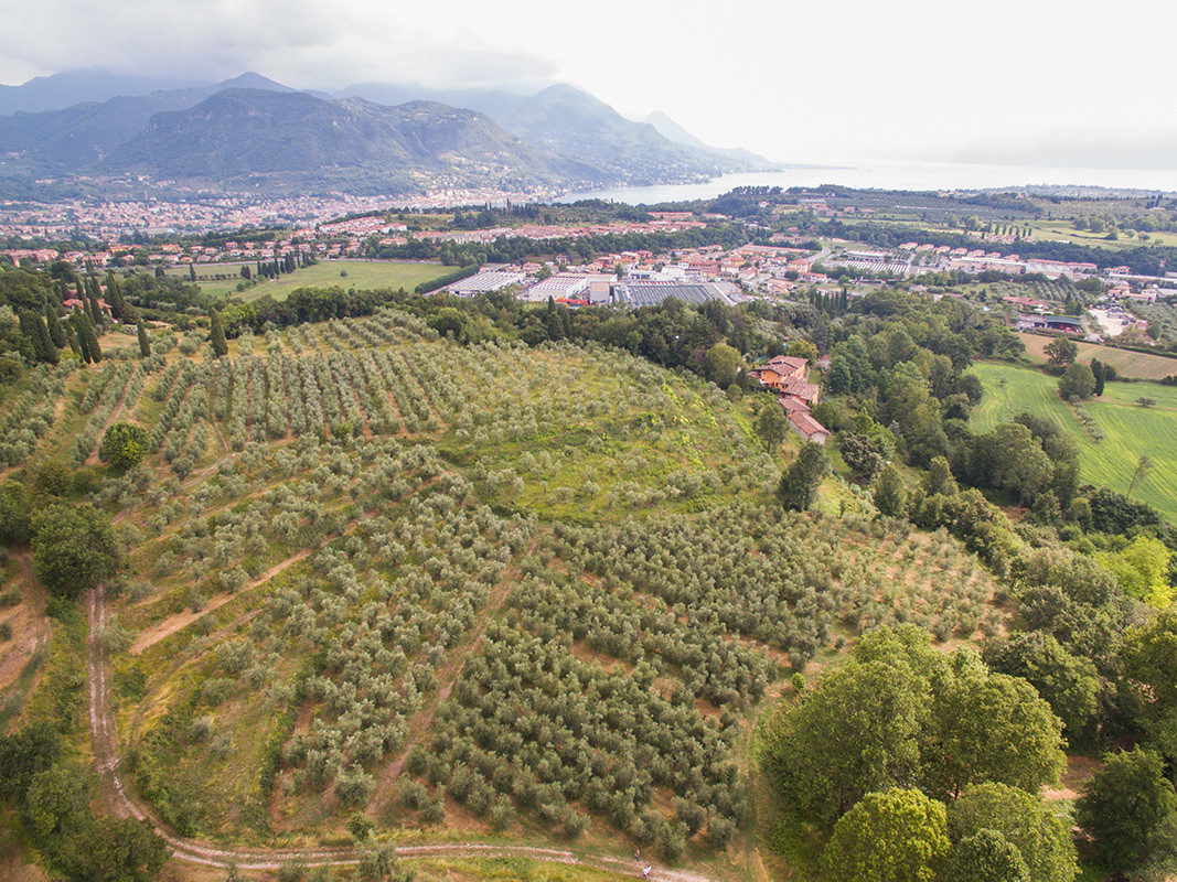 Foto aerea dei terreni dell'azienda agricola