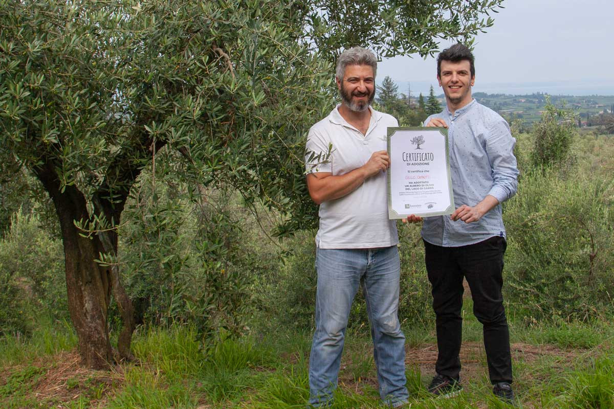 Il certificato di adozione del tuo olivo
